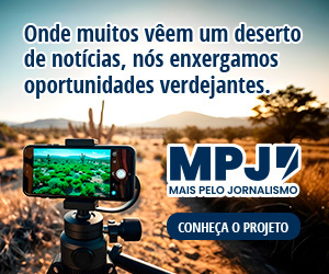 /apidata/imgcache/676934f3b347bb11ac29e12aa7bbf424.jpeg?banner=col4&when=1766433315&who=366